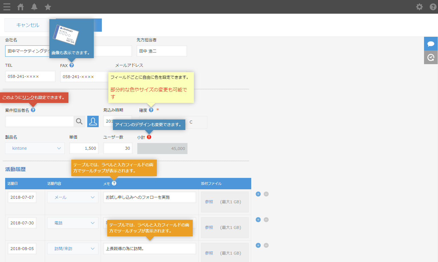 レコード追加・編集画面での表示例